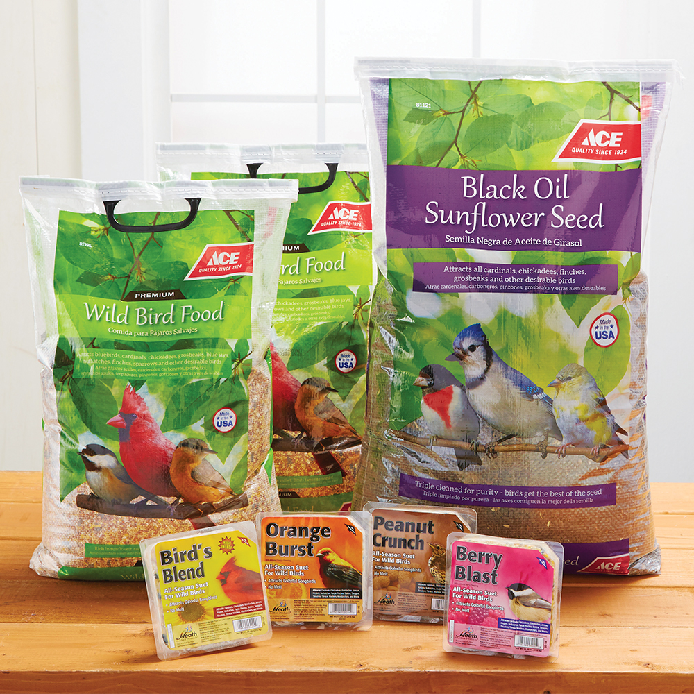 February 2019 - Birdseed Deals